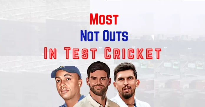 highest not out in test cricket
