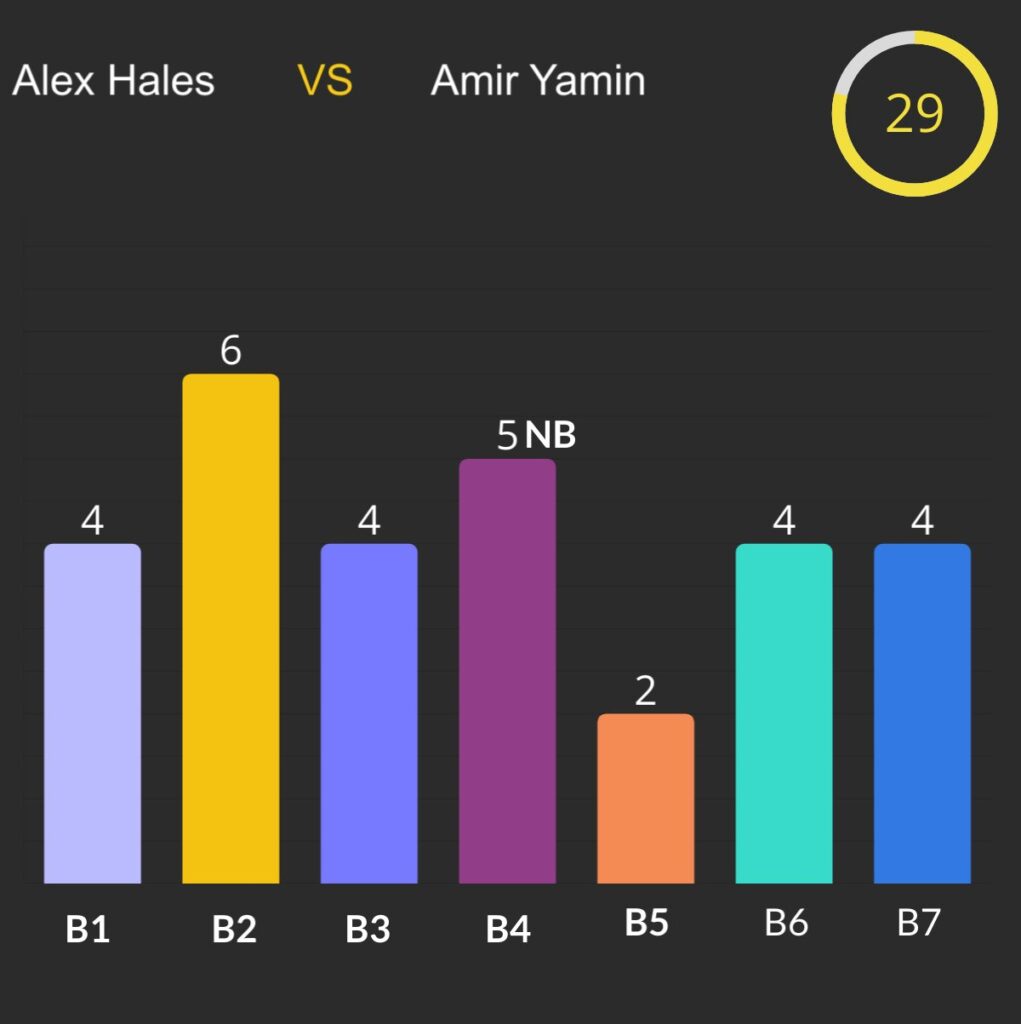 ammir yameen 29 runs 