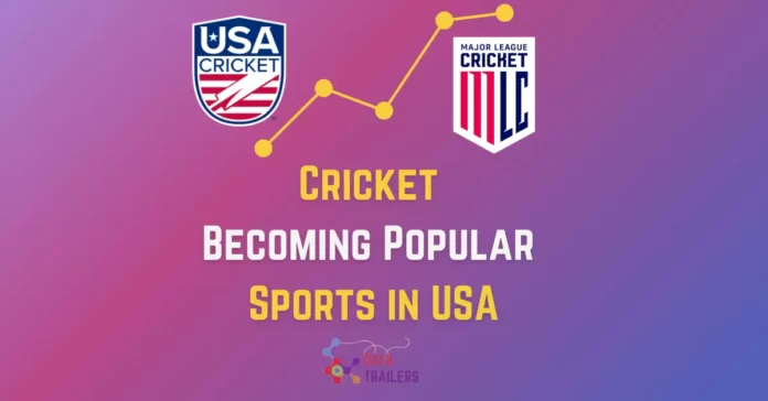 cricket-becoming-popular-in-usa